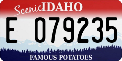 ID license plate E079235