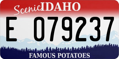 ID license plate E079237