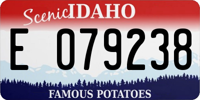 ID license plate E079238