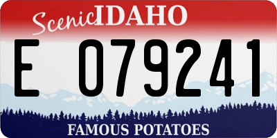 ID license plate E079241