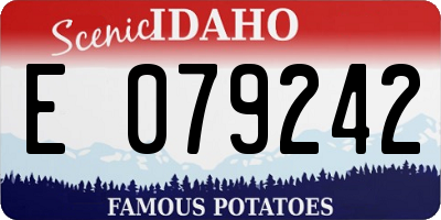 ID license plate E079242