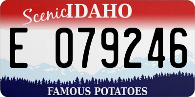 ID license plate E079246