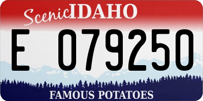 ID license plate E079250