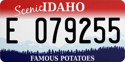 ID license plate E079255