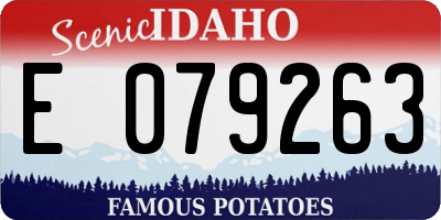 ID license plate E079263