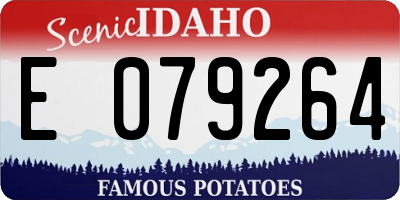 ID license plate E079264