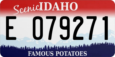 ID license plate E079271