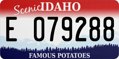 ID license plate E079288