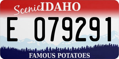 ID license plate E079291