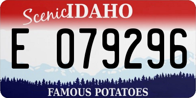 ID license plate E079296