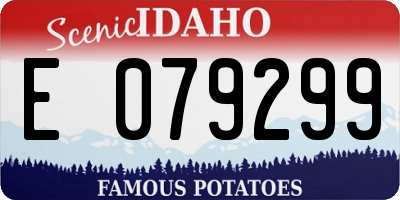 ID license plate E079299