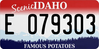 ID license plate E079303