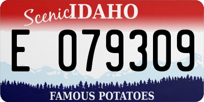 ID license plate E079309
