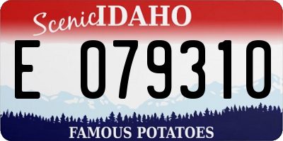 ID license plate E079310