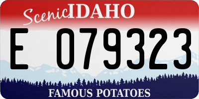 ID license plate E079323