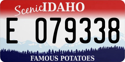 ID license plate E079338