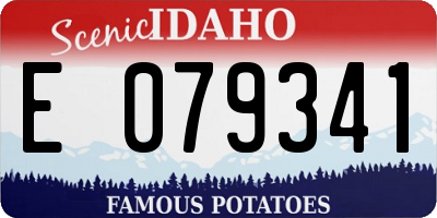 ID license plate E079341