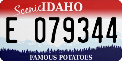 ID license plate E079344