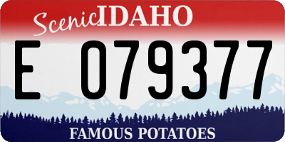 ID license plate E079377