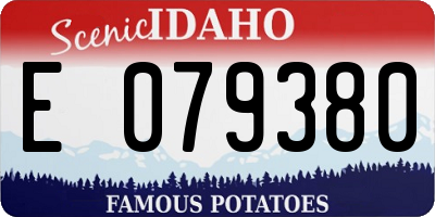 ID license plate E079380