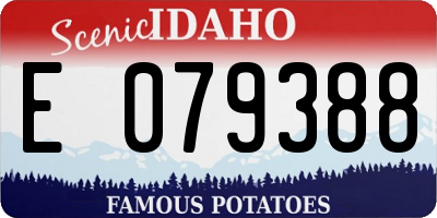 ID license plate E079388