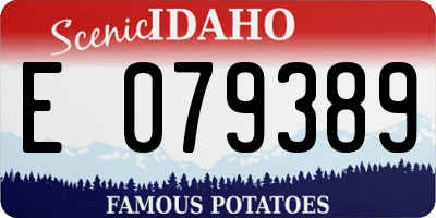 ID license plate E079389