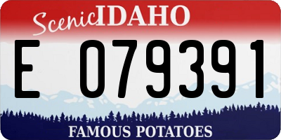 ID license plate E079391