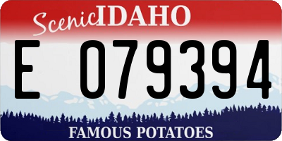 ID license plate E079394
