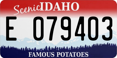 ID license plate E079403