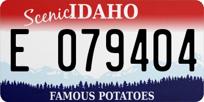 ID license plate E079404