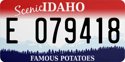 ID license plate E079418