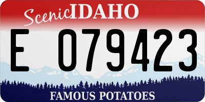 ID license plate E079423