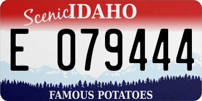 ID license plate E079444