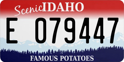 ID license plate E079447