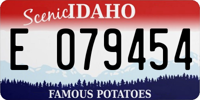 ID license plate E079454