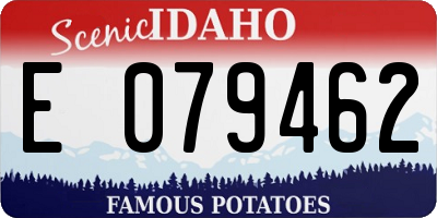 ID license plate E079462