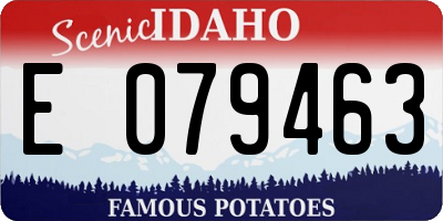 ID license plate E079463