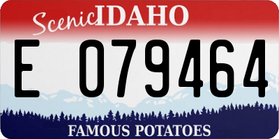 ID license plate E079464