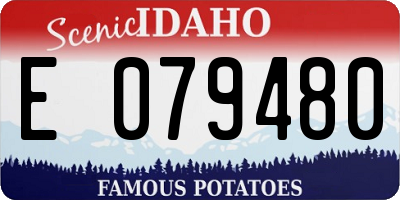 ID license plate E079480