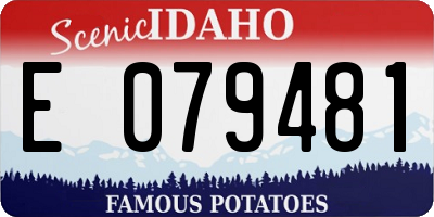 ID license plate E079481