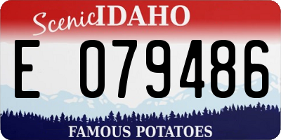 ID license plate E079486
