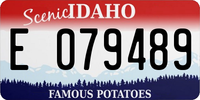 ID license plate E079489