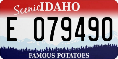 ID license plate E079490