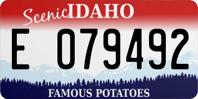 ID license plate E079492