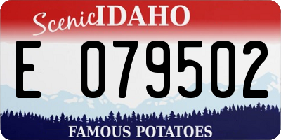 ID license plate E079502