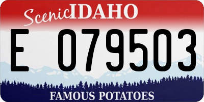 ID license plate E079503