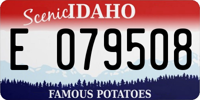 ID license plate E079508