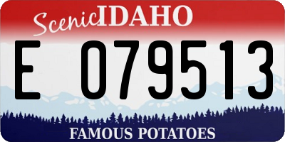 ID license plate E079513