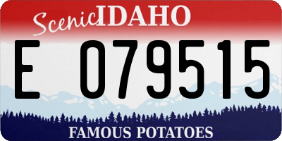 ID license plate E079515