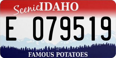 ID license plate E079519